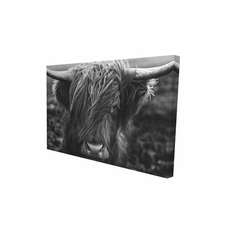 FONDO 12 x 18 in. Monochrome Portrait Highland Cow-Print on Canvas FO2773930
